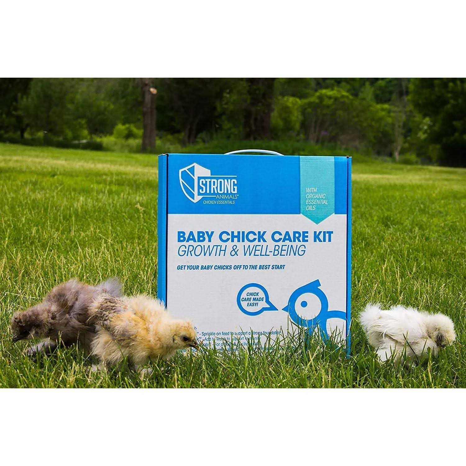 Strong Animals Baby Chick Care Kit - Pet Supplies online store