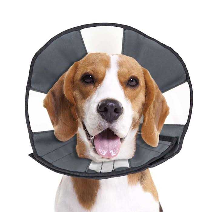 ZenPet Zen Cone Soft Recovery Collar - Pet Supplies online store
