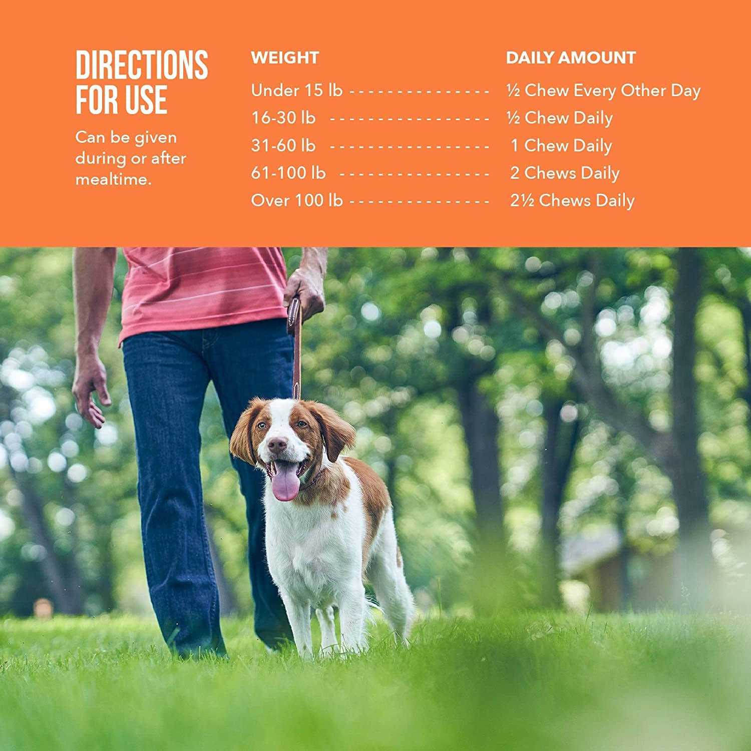 Synovi G4 Joint Supplement Soft Chews for Dogs - Pet Supplies online store