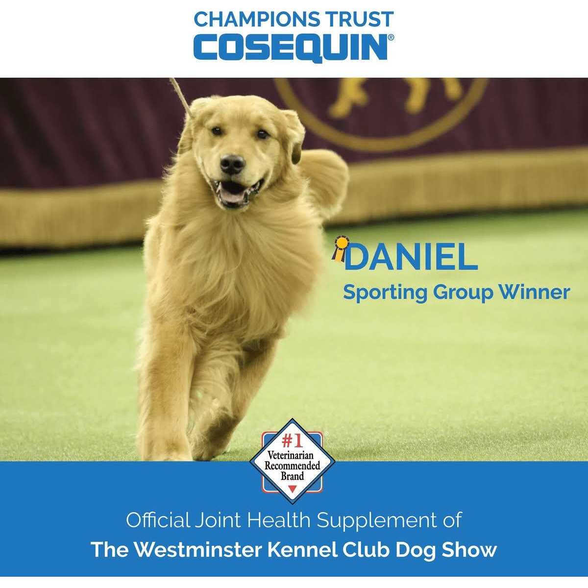 Cosequin Soft Chews with MSM Plus Omega-3s for Dogs - Pet Supplies online store