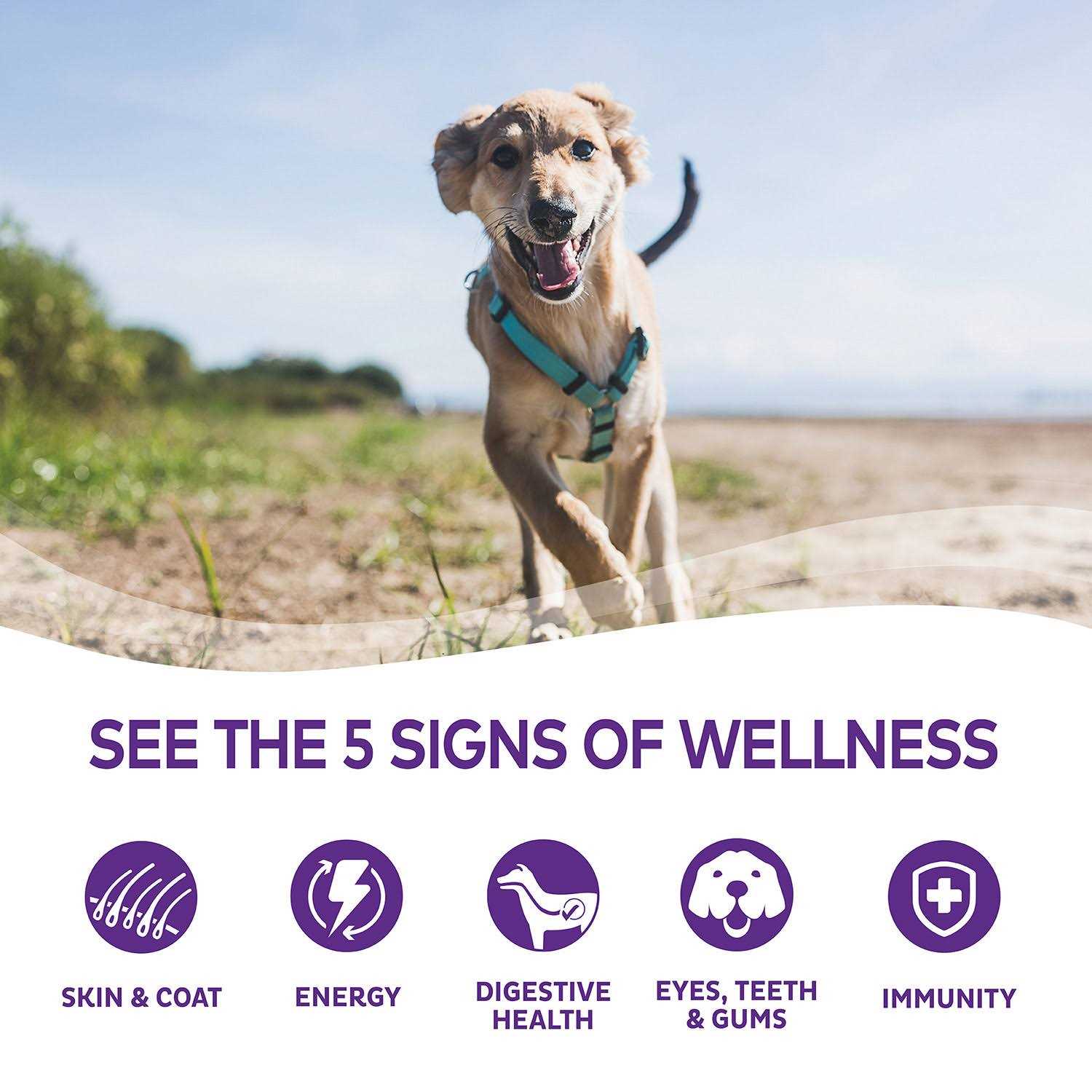 Wellness Complete Health Whitefish & Sweet Potato Dry Dog Food - Pet Supplies online store