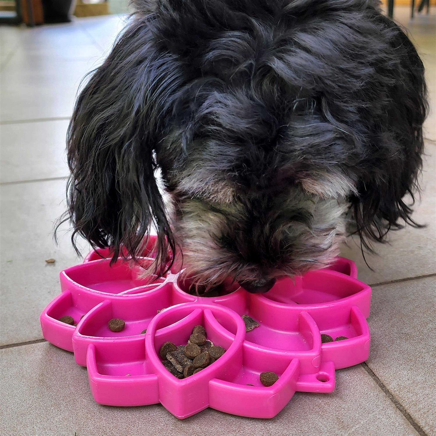 SodaPup Mandala Design eTray Enrichment Tray for Dogs - Pet Supplies online store