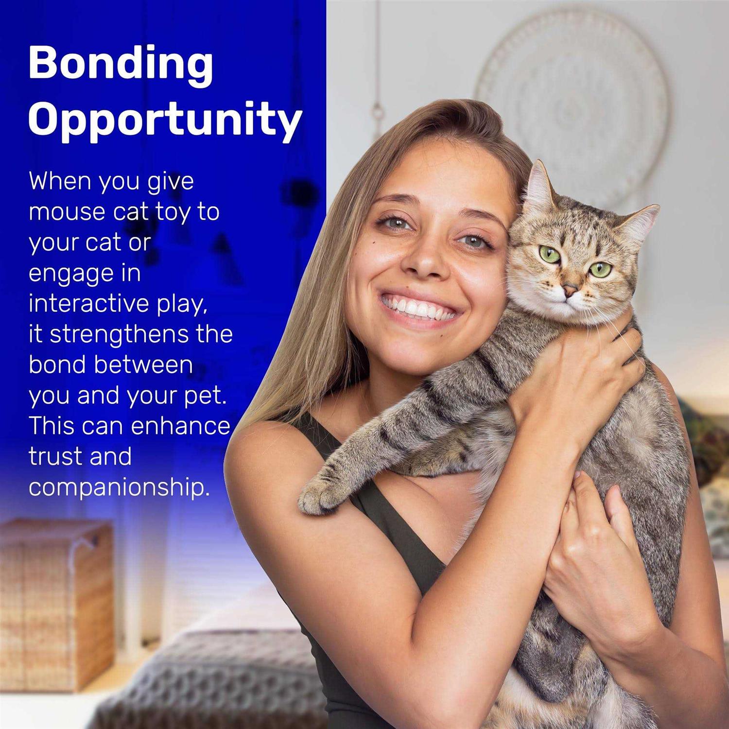 Kats 'N Us Mouse Cat Toy Pak - Pet Supplies online store