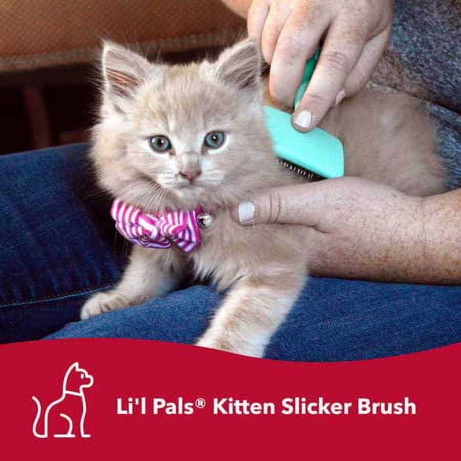 Coastal Pet Products Lil'l Pals Kitten Slicker Brush with Coated Tips - Pet Supplies online store