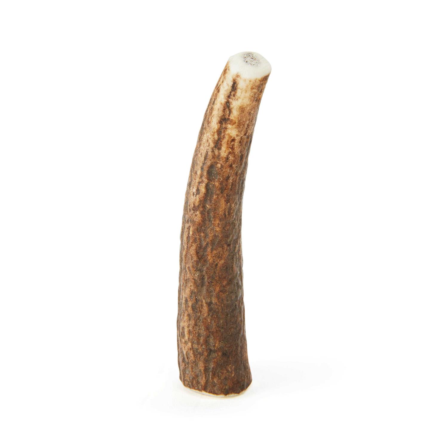 Good Lovin' Whole Elk Antler Dog Chew - Pet Supplies online store