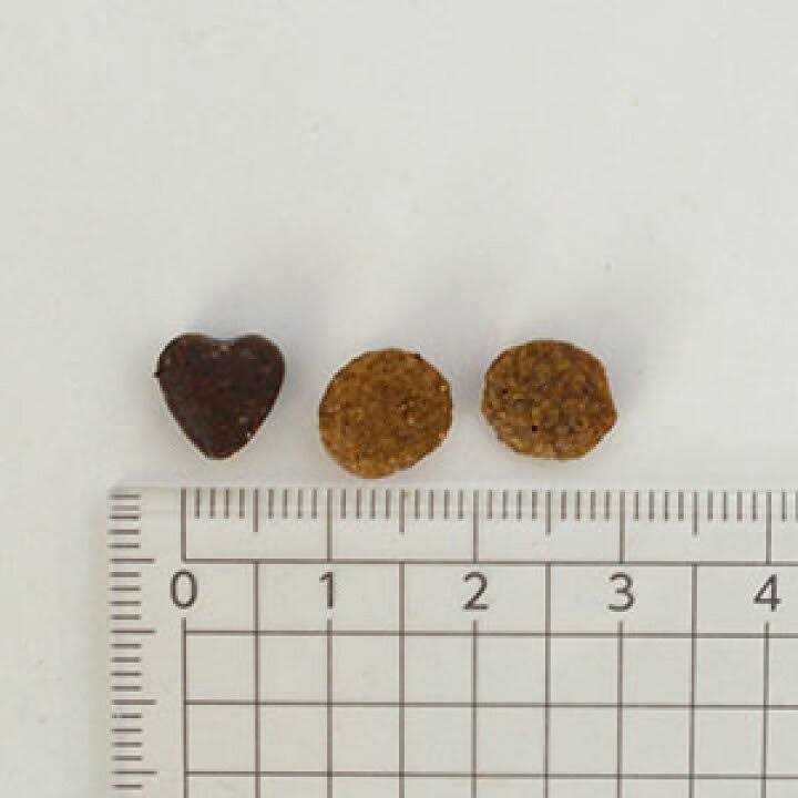 Forza10 Nutraceutic Active Intestinal Support Diet Dry Cat Food - Pet Supplies online store