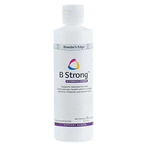 Edge B Strong - Pet Supplies online store