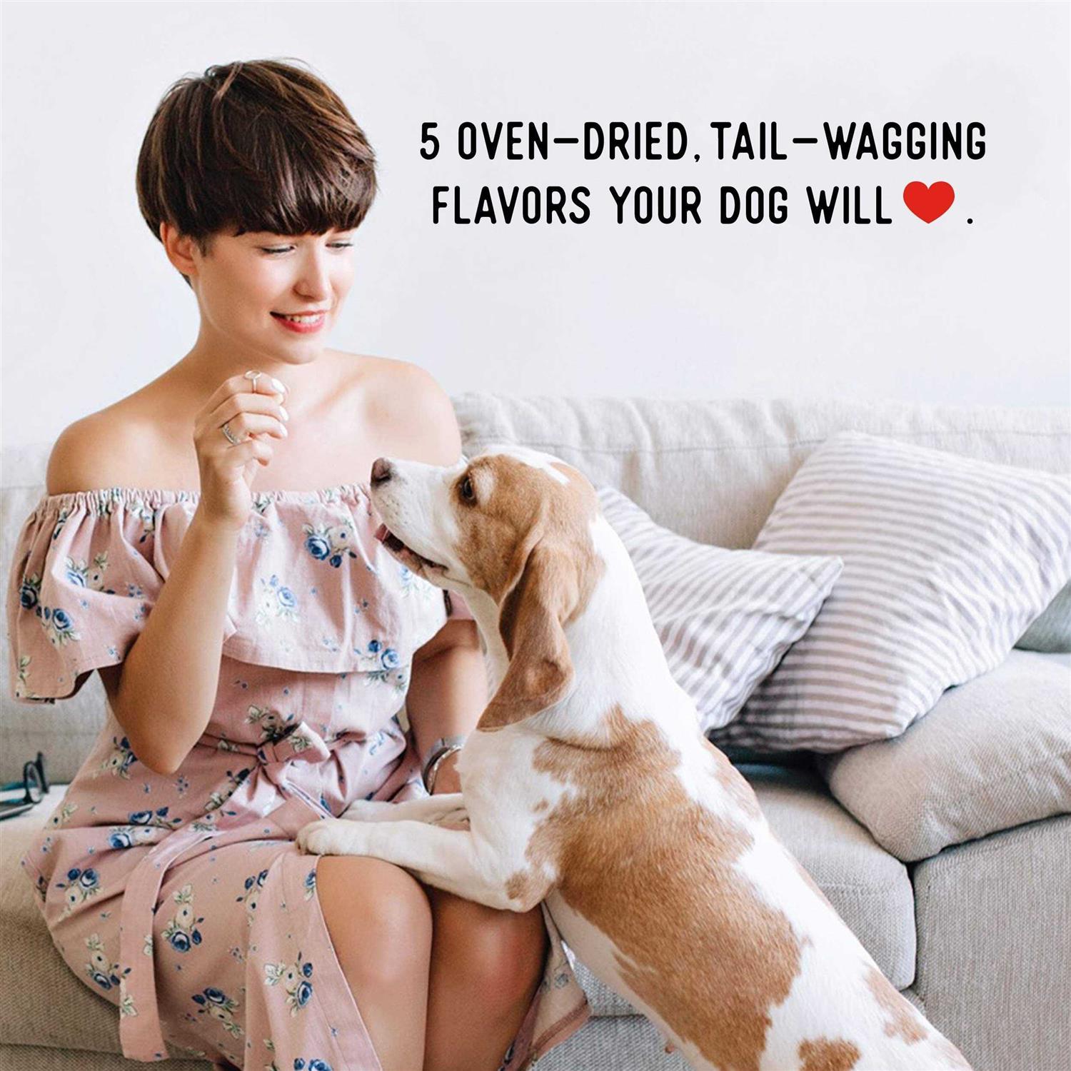 Farmland Traditions Dogs Love Beef Jerky Treats - Pet Supplies online store