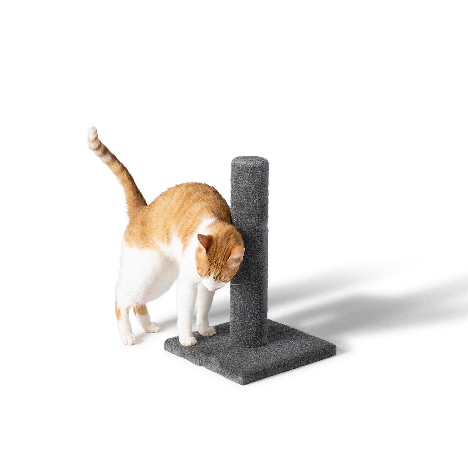 Whisker City 19-in Carpet Scratching Post - Pet Supplies online store