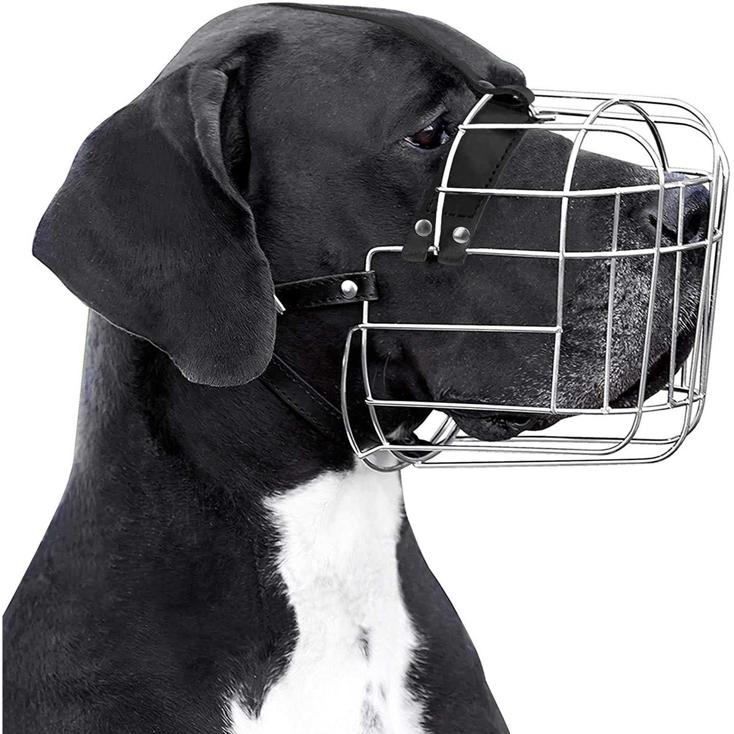 BRONZEDOG Metal Dog Muzzle Wire Basket Great Dane Mastiff Saint Bernard Mask with Leather Straps Muzzles for Extra Large Dog - Pet Supplies online store