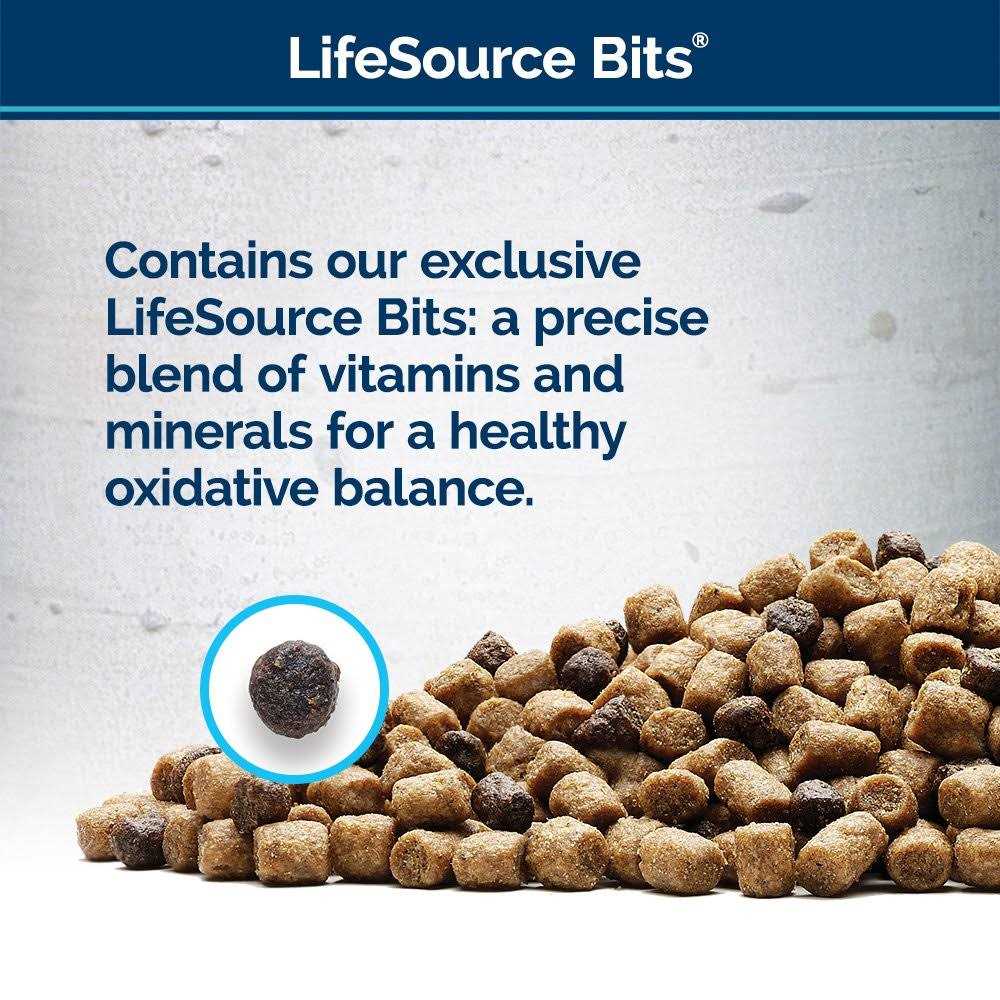 Blue Buffalo Wilderness Rocky Mountain Recipe High Protein Dry Cat Food - Pet Supplies online store