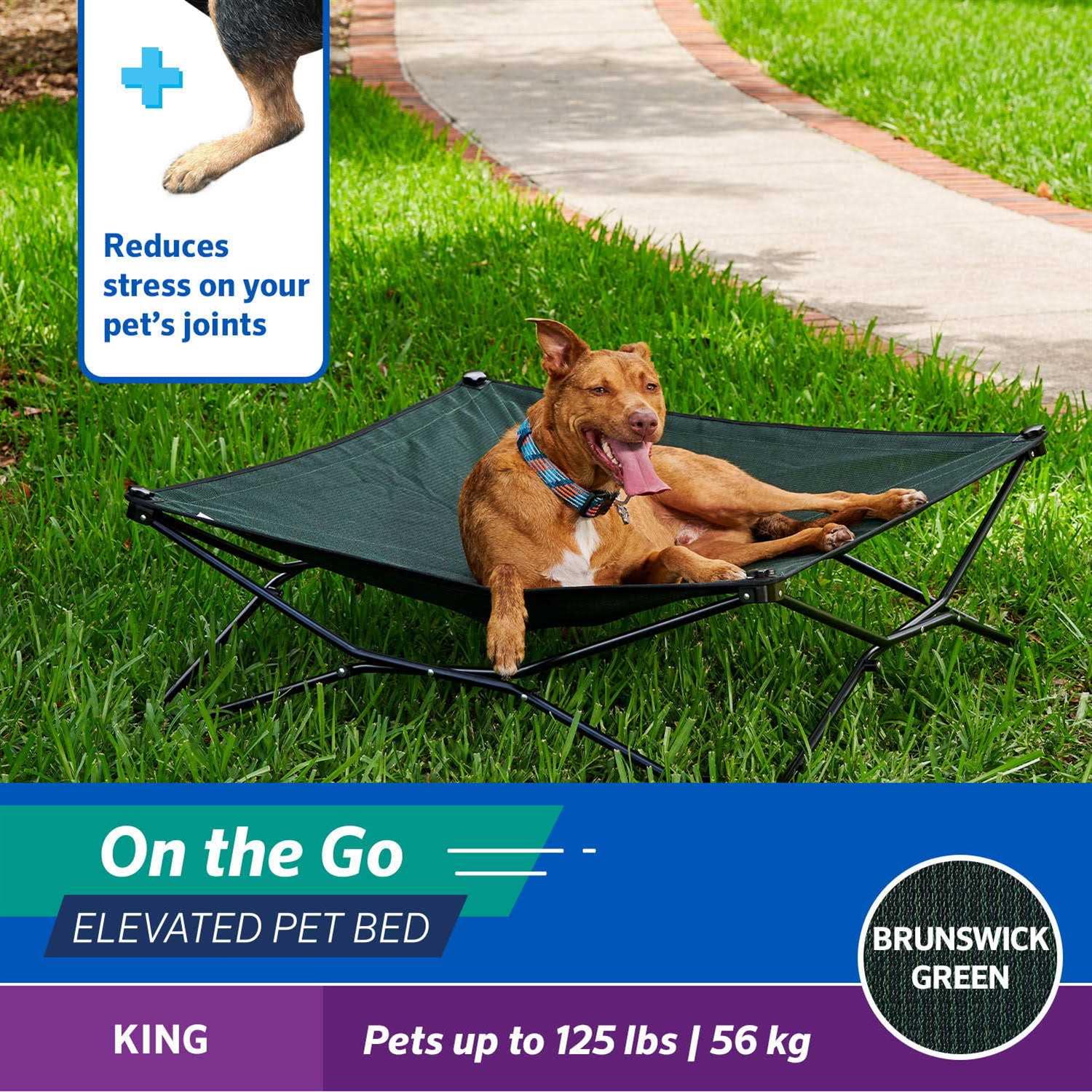 Coolaroo On-the-Go Elevated Pet Bed - Pet Supplies online store