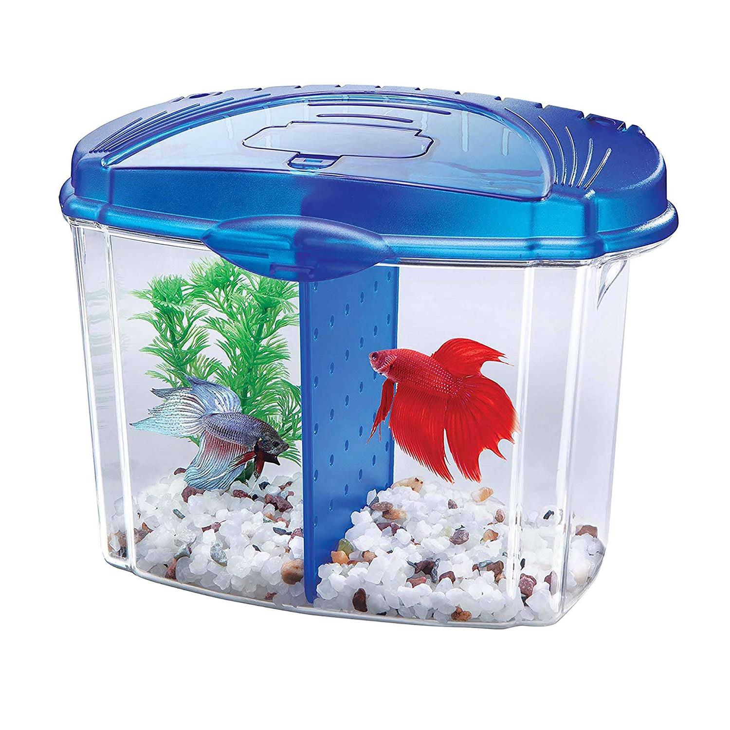 Aqueon Betta Bowl Kit - Pet Supplies online store