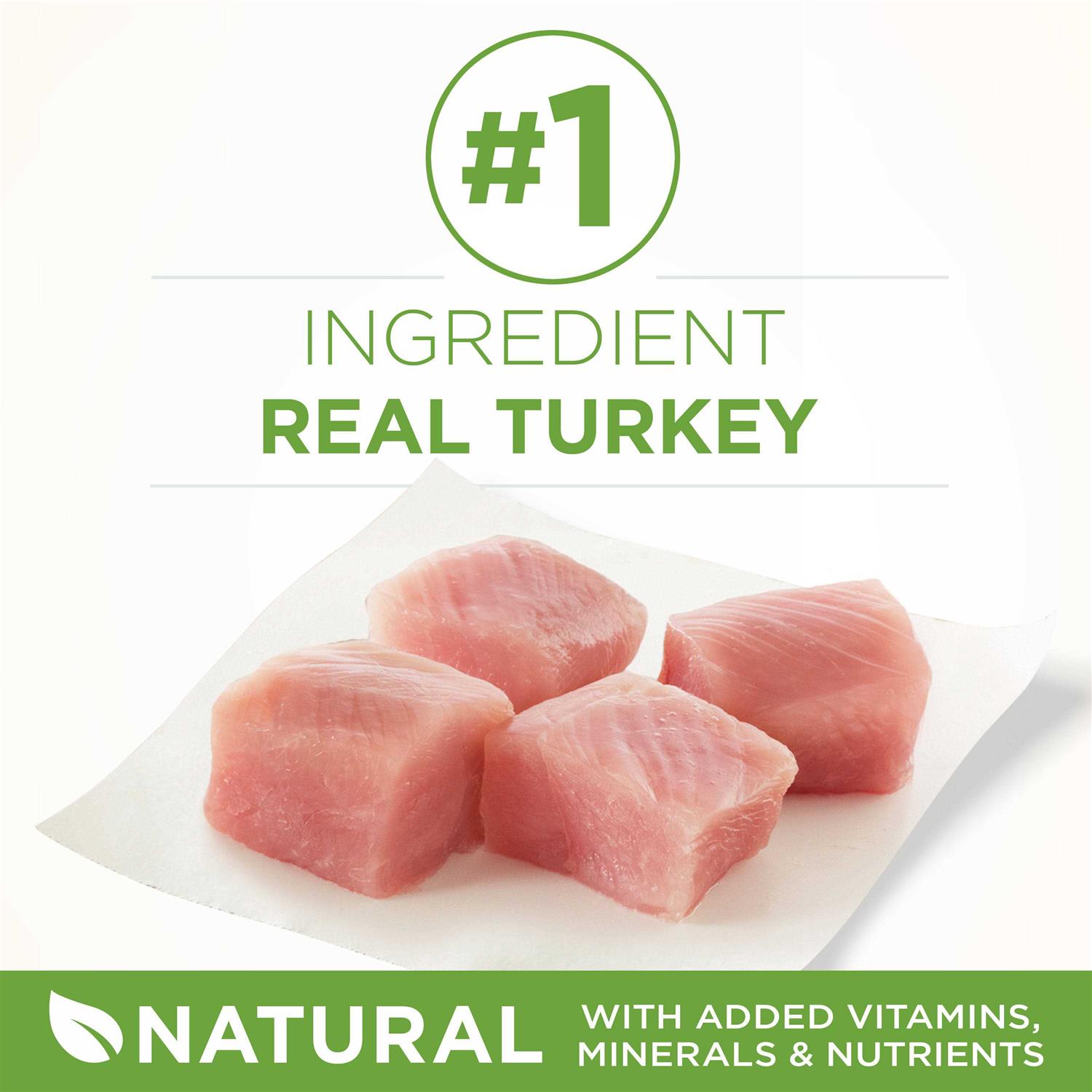 Purina ONE Indoor Advantage Dry Cat Food - Pet Supplies online store