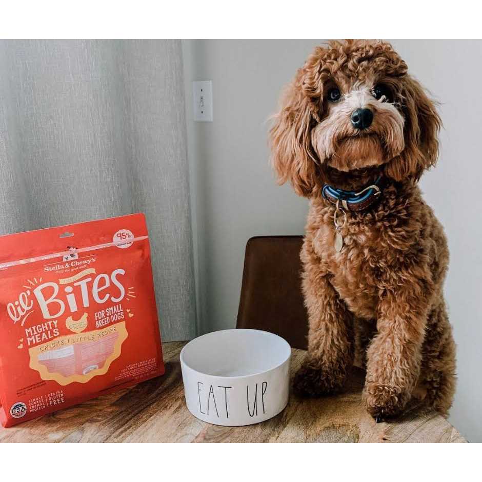 Stella & Chewy's Lil' Bites Chicken Little Freeze Dried Dog Food - Pet Supplies online store