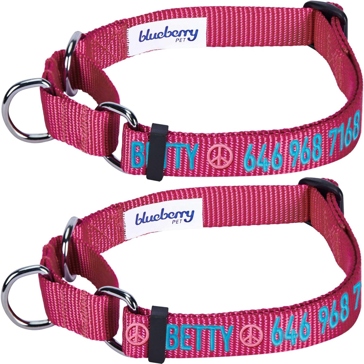 Blueberry Pet Martingale Safety Training Dog Collar - Pet Supplies online store