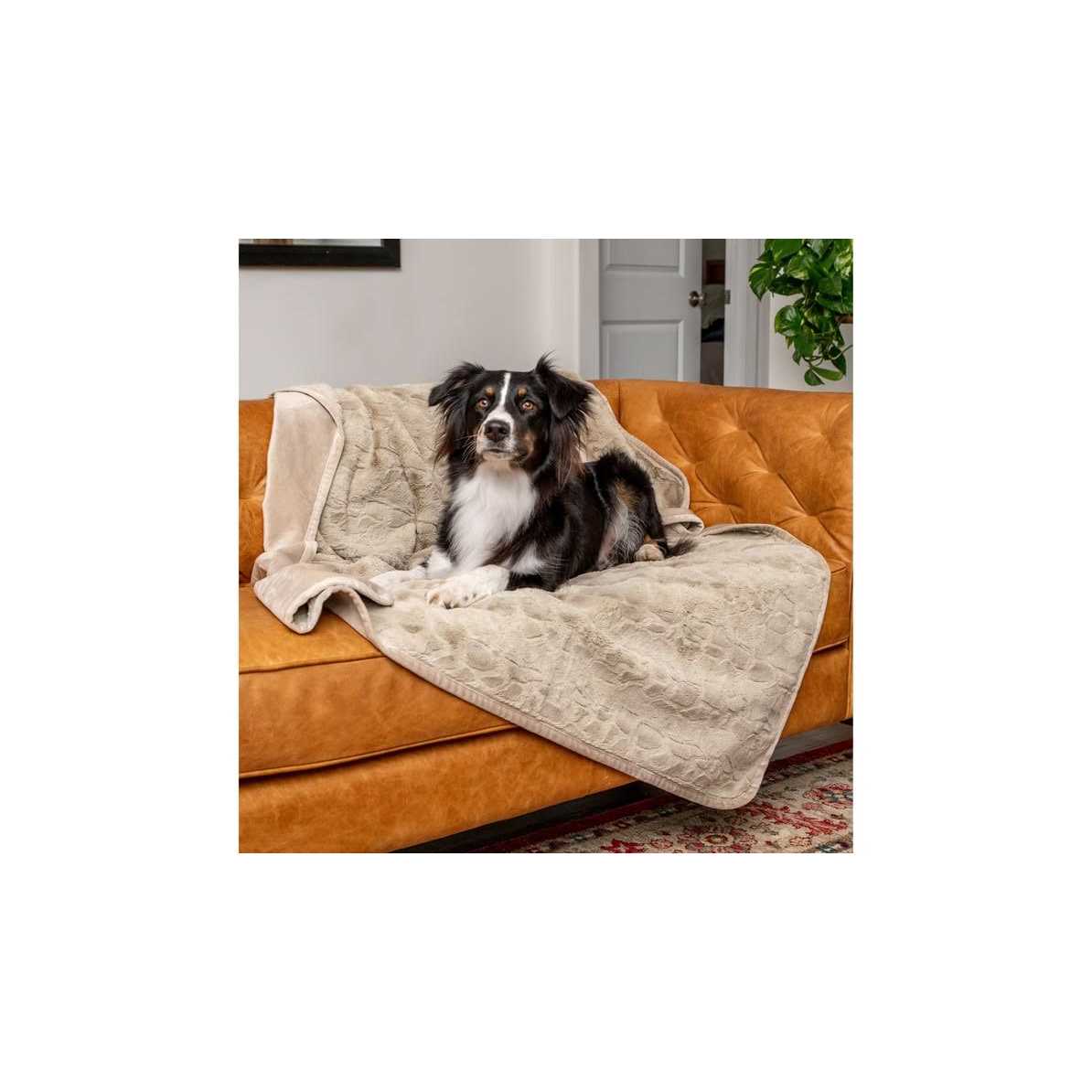 Retriever Simple Water-Resistant Pet Blanket - Pet Supplies online store