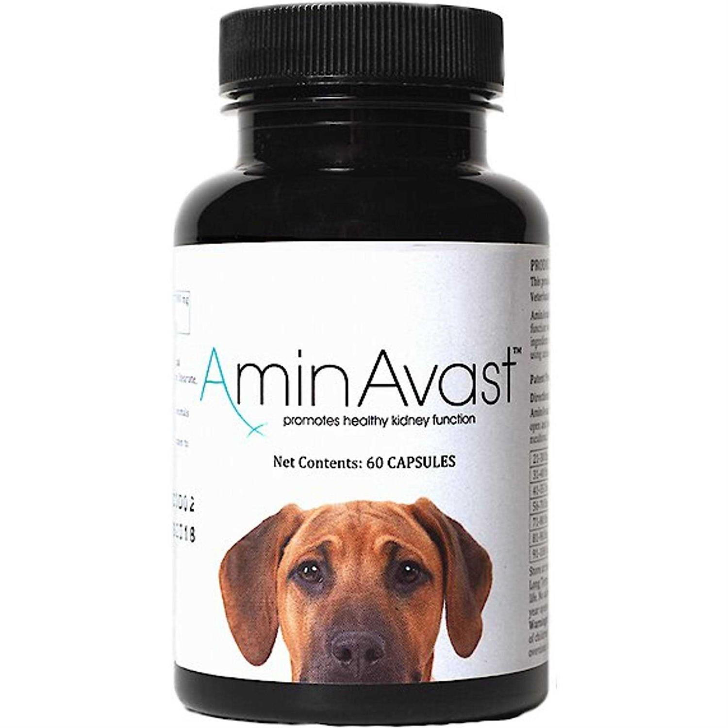 AminAvast Kidney Support for Dogs - Pet Supplies online store