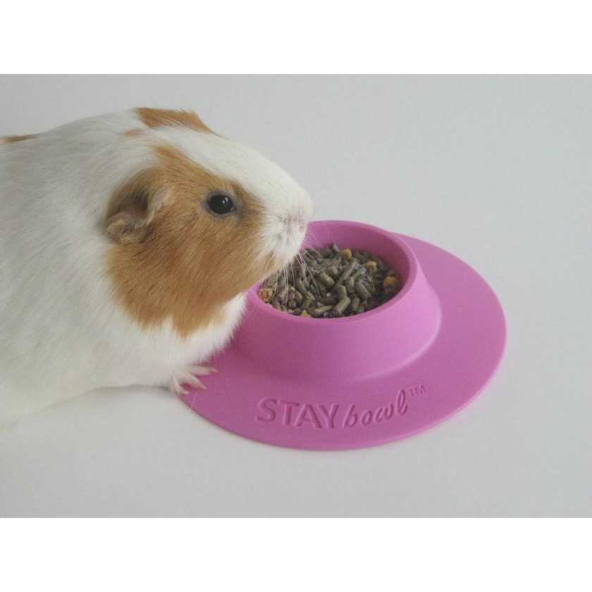 STAYbowl Tip-Proof Bowl for Guinea Pigs and Small Pets - Pet Supplies online store