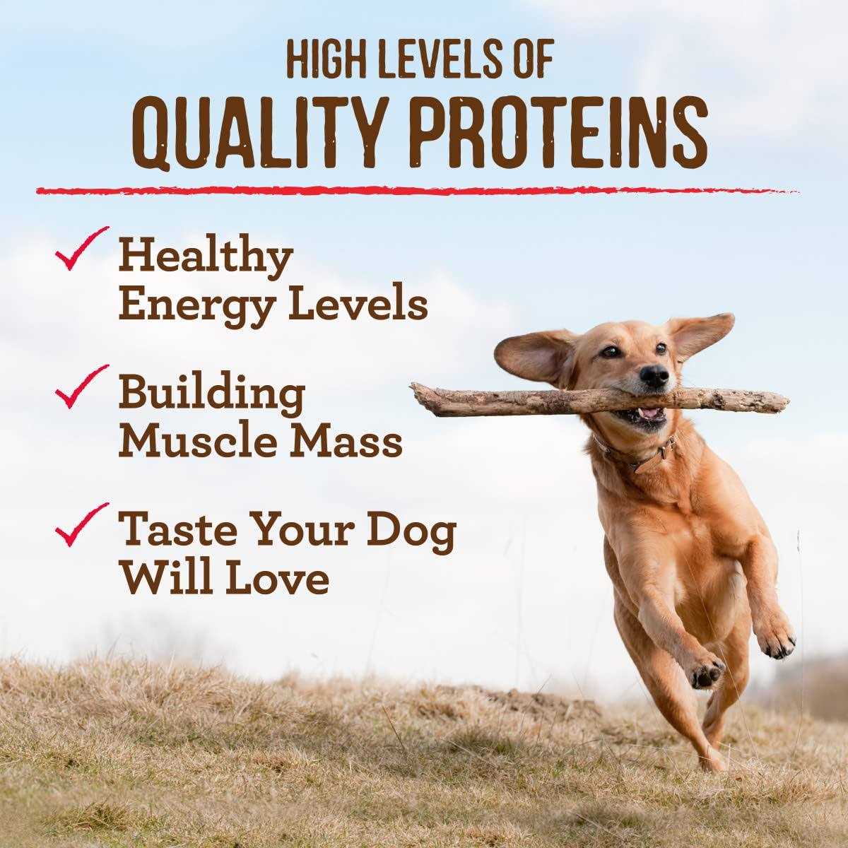 Merrick Grain-Free Real Beef Sweet Potato Dry Dog Food - Pet Supplies online store