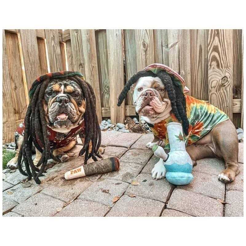 Nestpark Doggy Doobie Funny Dog Toys Plush Squeaky Dog Toys for Medium, Small and Large - Pet Supplies online store