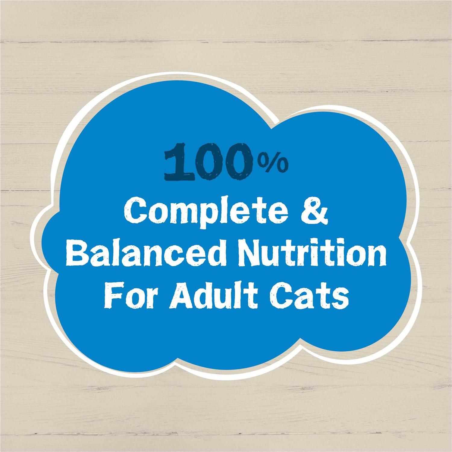 Purina Friskies Wet Cat Food Ocean Favorites - Pet Supplies online store