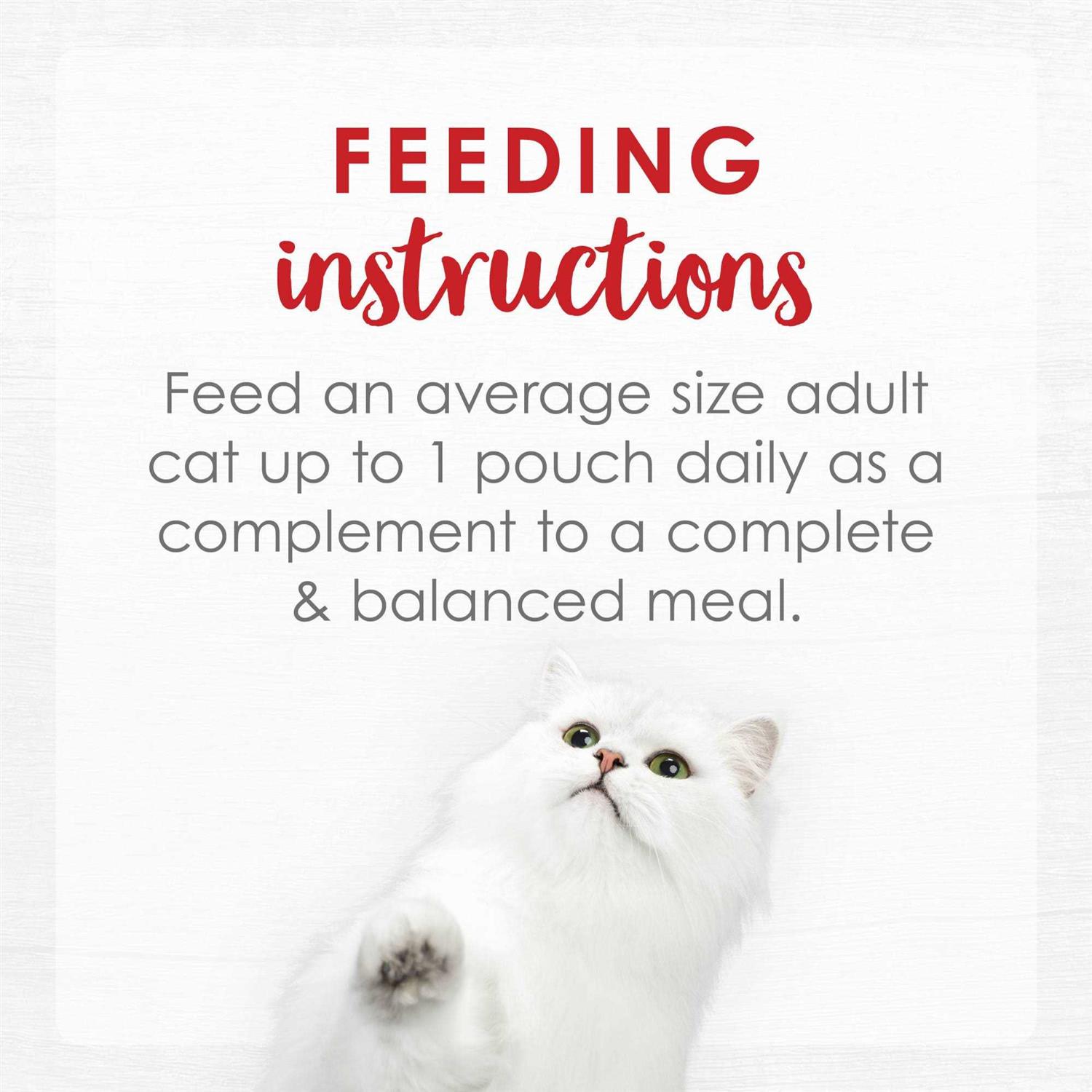 Fancy Feast Broths Creamy Wet Cat Food - Pet Supplies online store