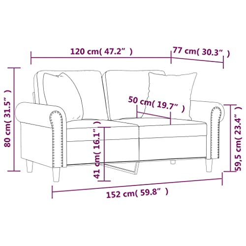 2-Seater Sofa with Throw Pillows Light Gray 47.2