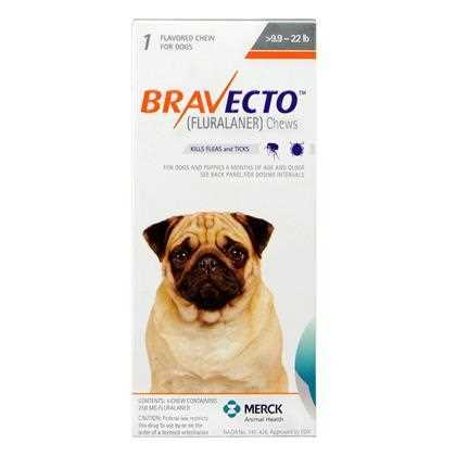 Bravecto Chews 2 Dose Small Dog 9.9-22 Lbs - Pet Supplies online store