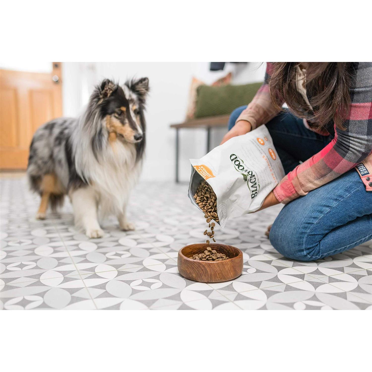Blackwood Pet Food All Life Stages Special Diet - Pet Supplies online store