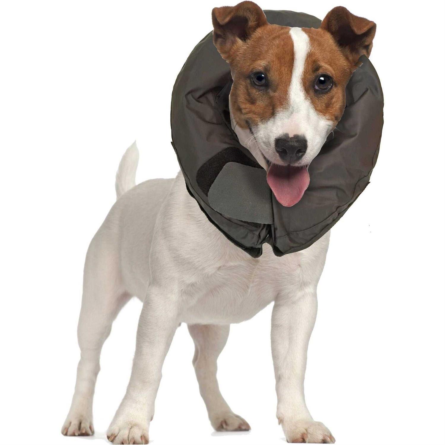 Vet Worthy Inflatable Protective Dog Collar - Pet Supplies online store