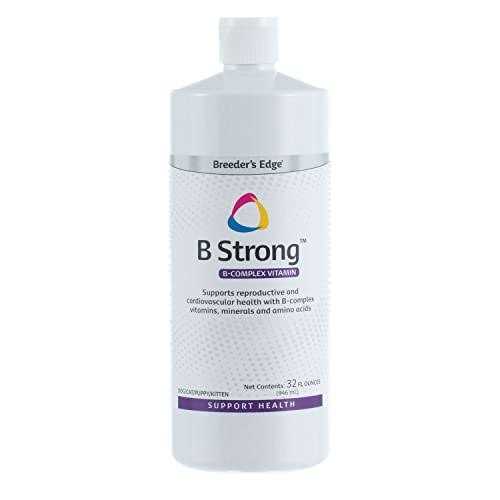 Edge B Strong - Pet Supplies online store