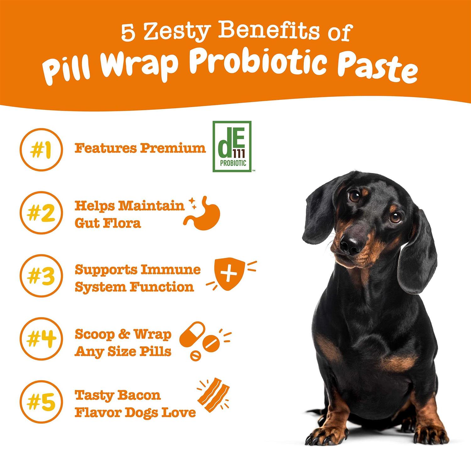 Zesty Paws Pill Wrap Probiotic Paste for Dogs - Pet Supplies online store