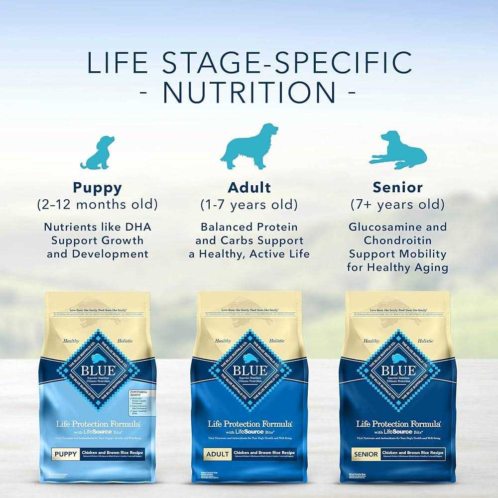 Blue Buffalo Life Protection Formula Beef & Brown Rice Adult Dry Dog Food - Pet Supplies online store
