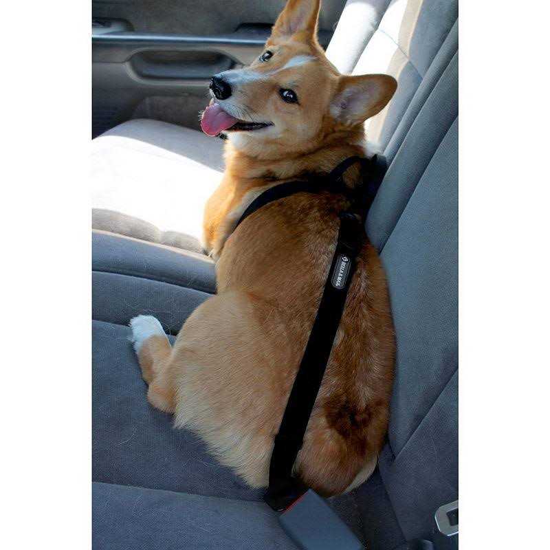Bella & Max Pt-0114e Pet Seat Belt - Pet Supplies online store
