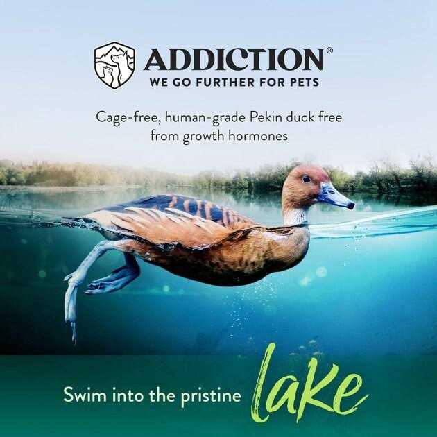 Addiction Grain-Free Duck Royale Dry Cat Food - Pet Supplies online store