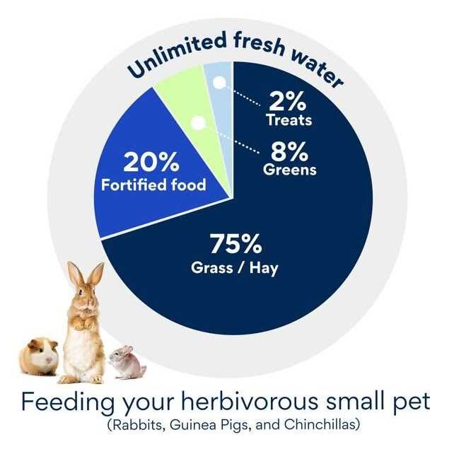 Tiny Friends Farm Russel Rabbit Food - Pet Supplies online store