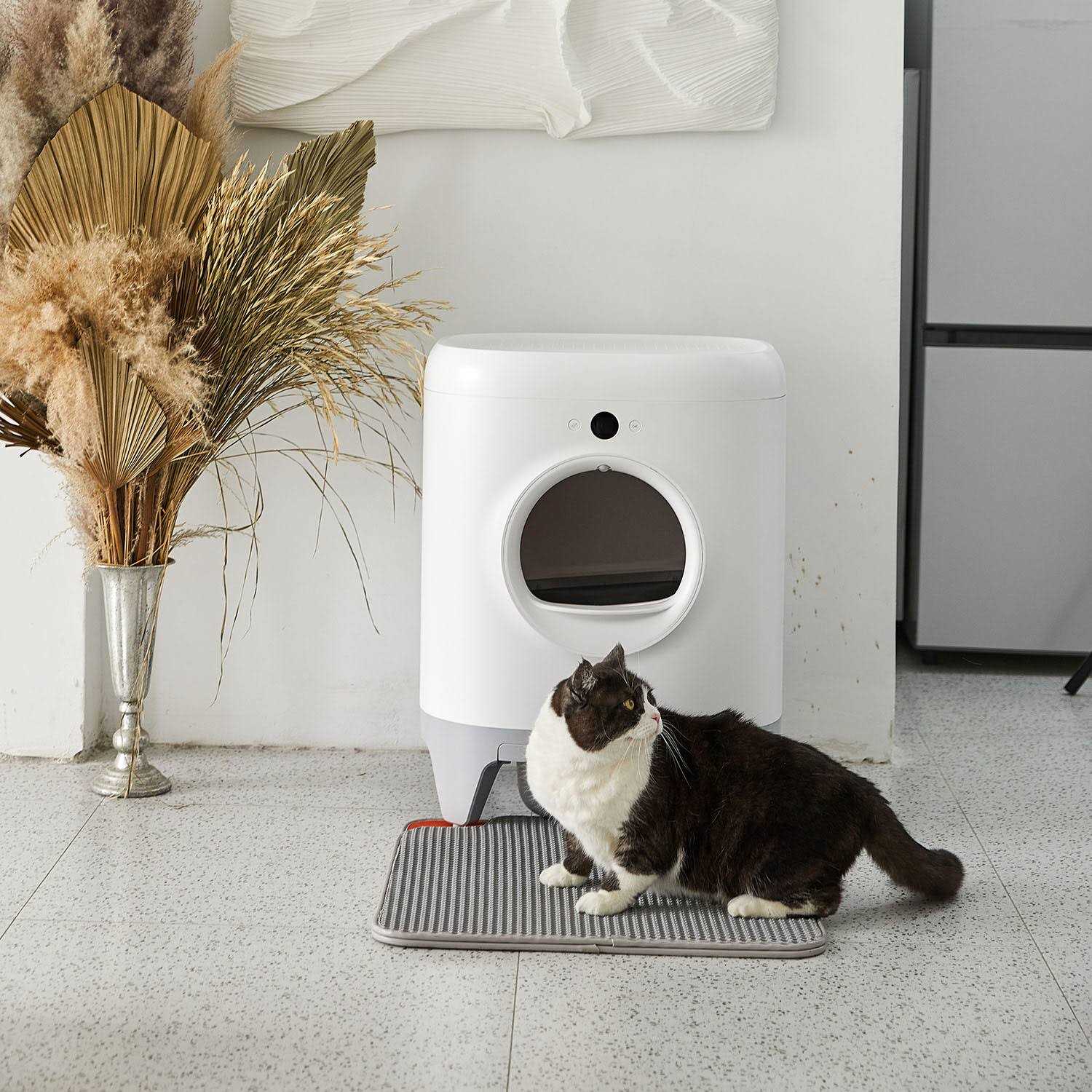 Petkit PuraX Self-Cleaning Wifi Enabled Automatic Cat Litter Box for Multiple Cats with Litter Mat - Pet Supplies online store