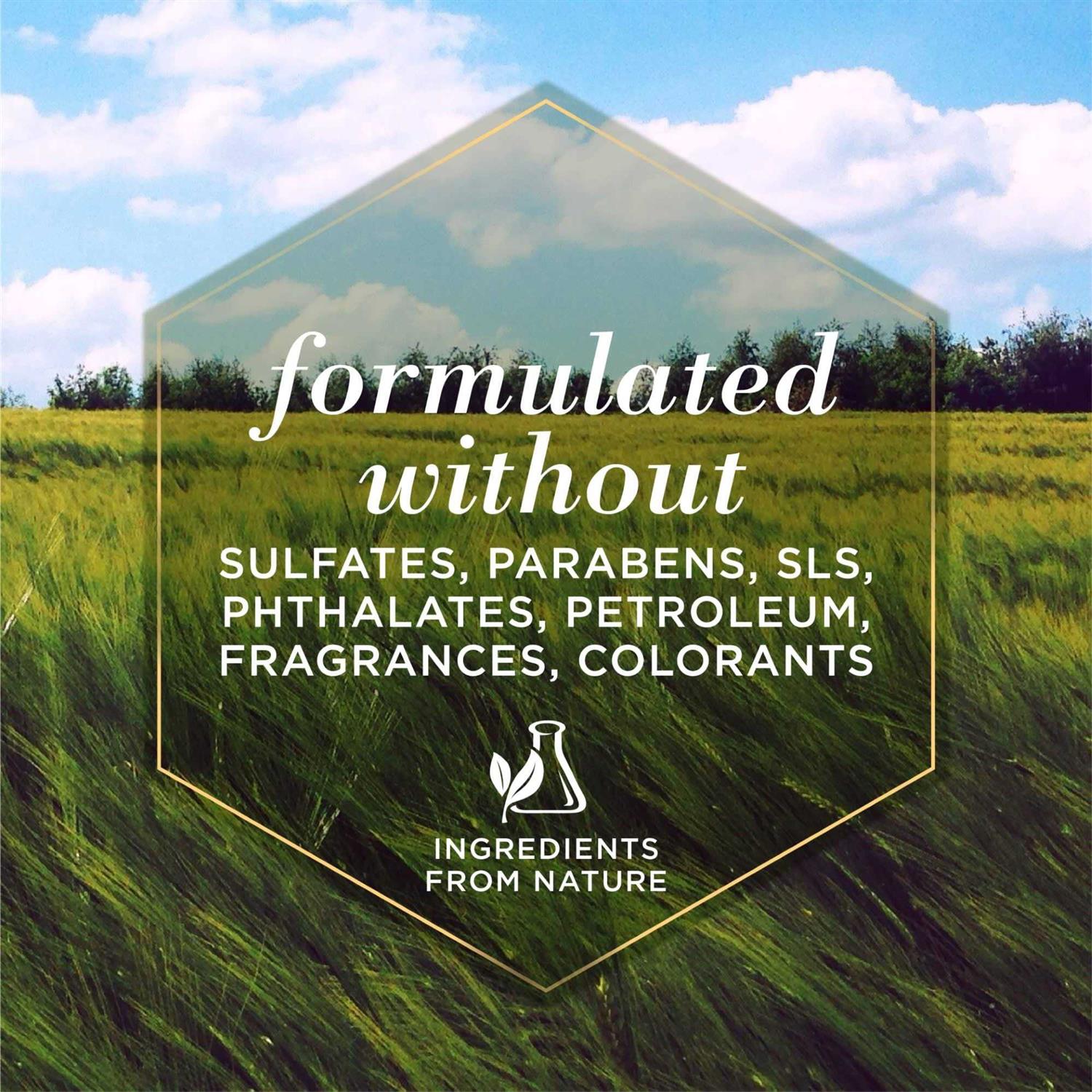 Burt's Bees Multipurpose Wipes for Dogs - Pet Supplies online store