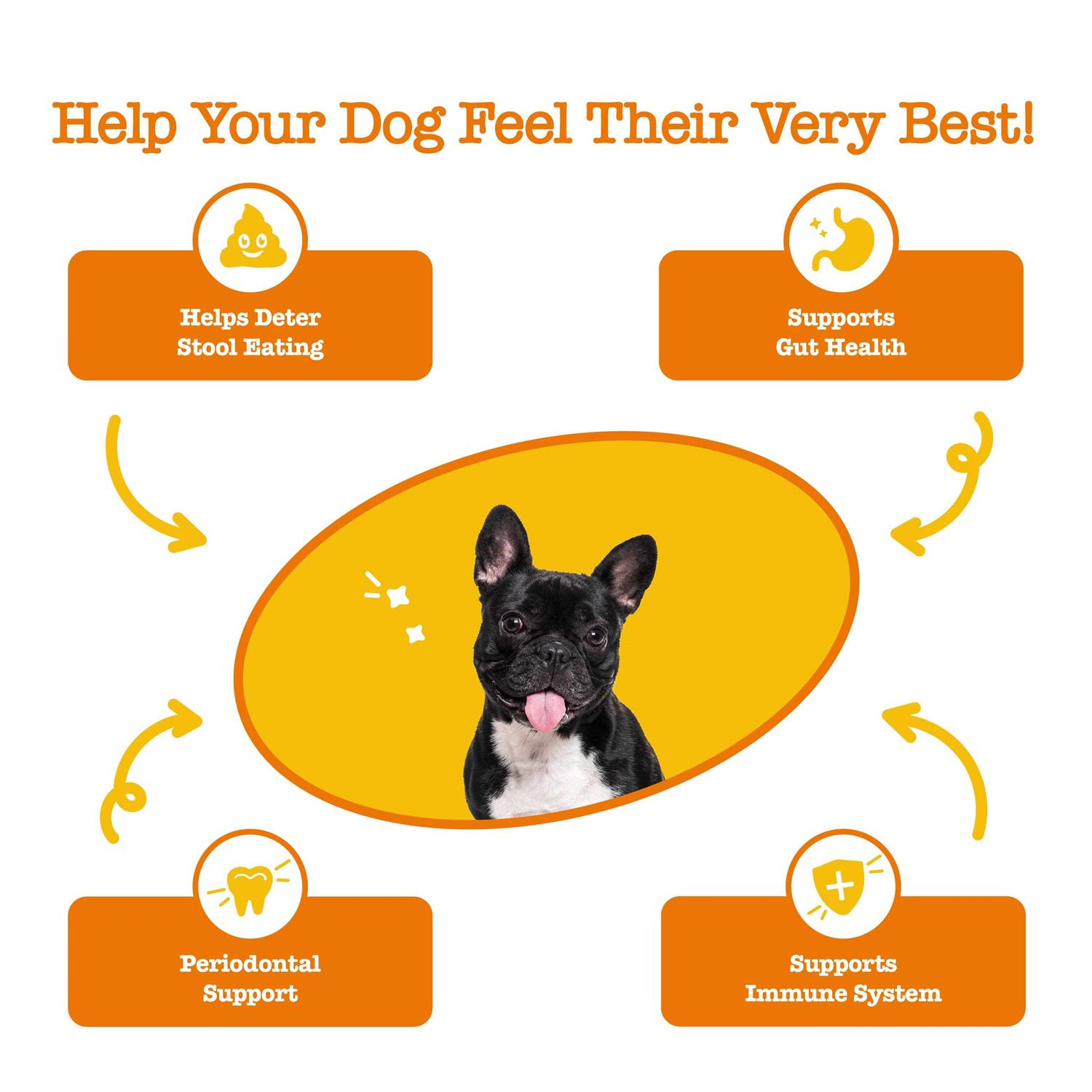 Zesty Paws Chew No Poo Bites for Dogs - Pet Supplies online store