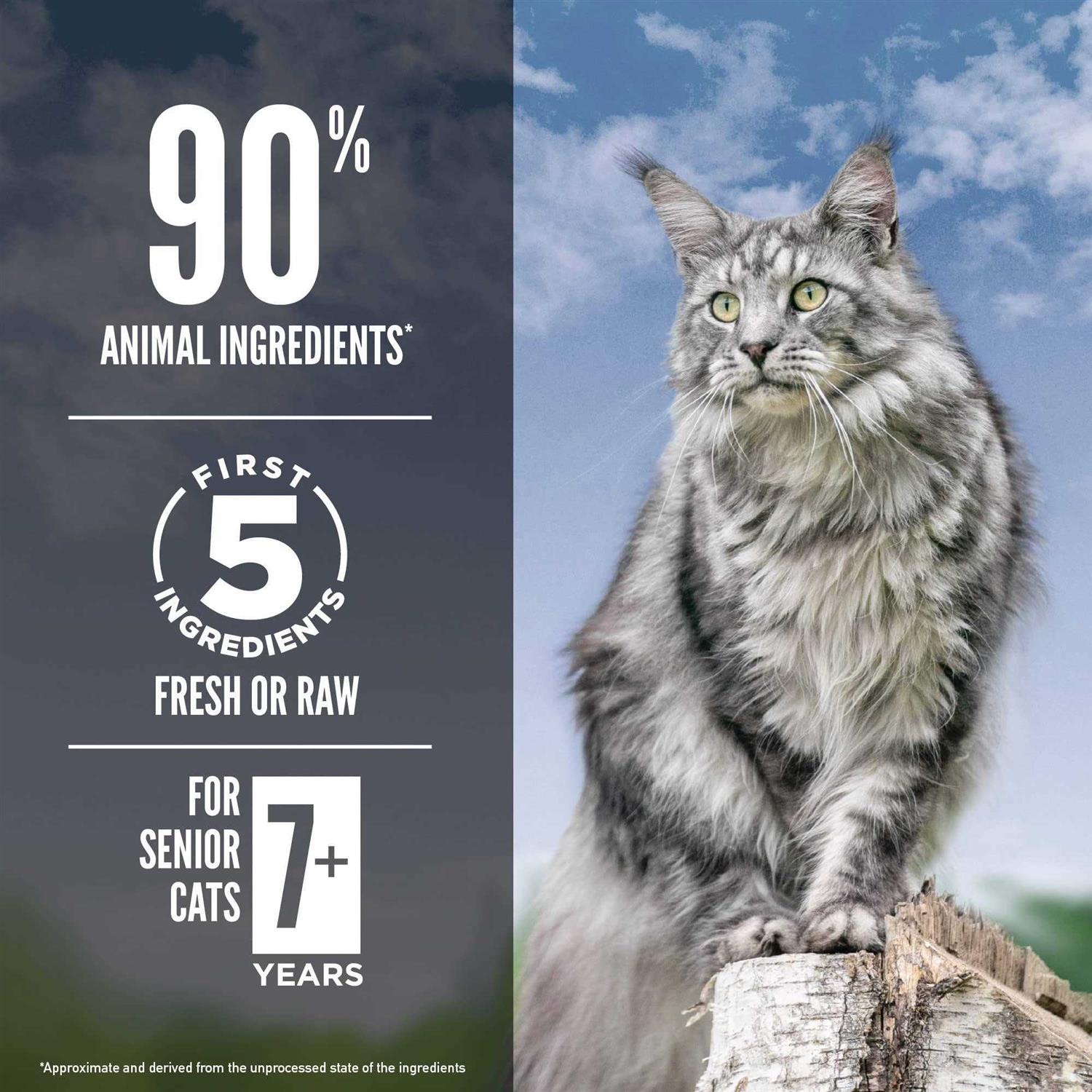 Orijen Guardian Senior 7+ Grain Free Dry Cat Food - Pet Supplies online store