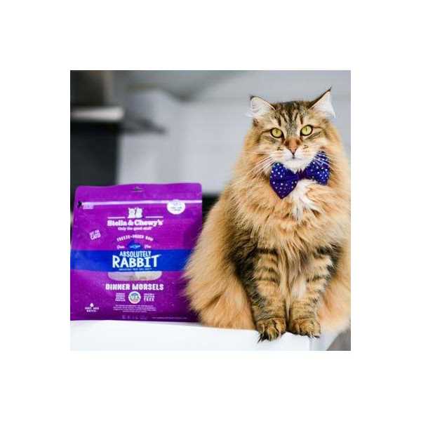 Stella & Chewy's Dinner Yummy Lickin' Salmon Chicken Freeze-Dried Cat Food - Pet Supplies online store