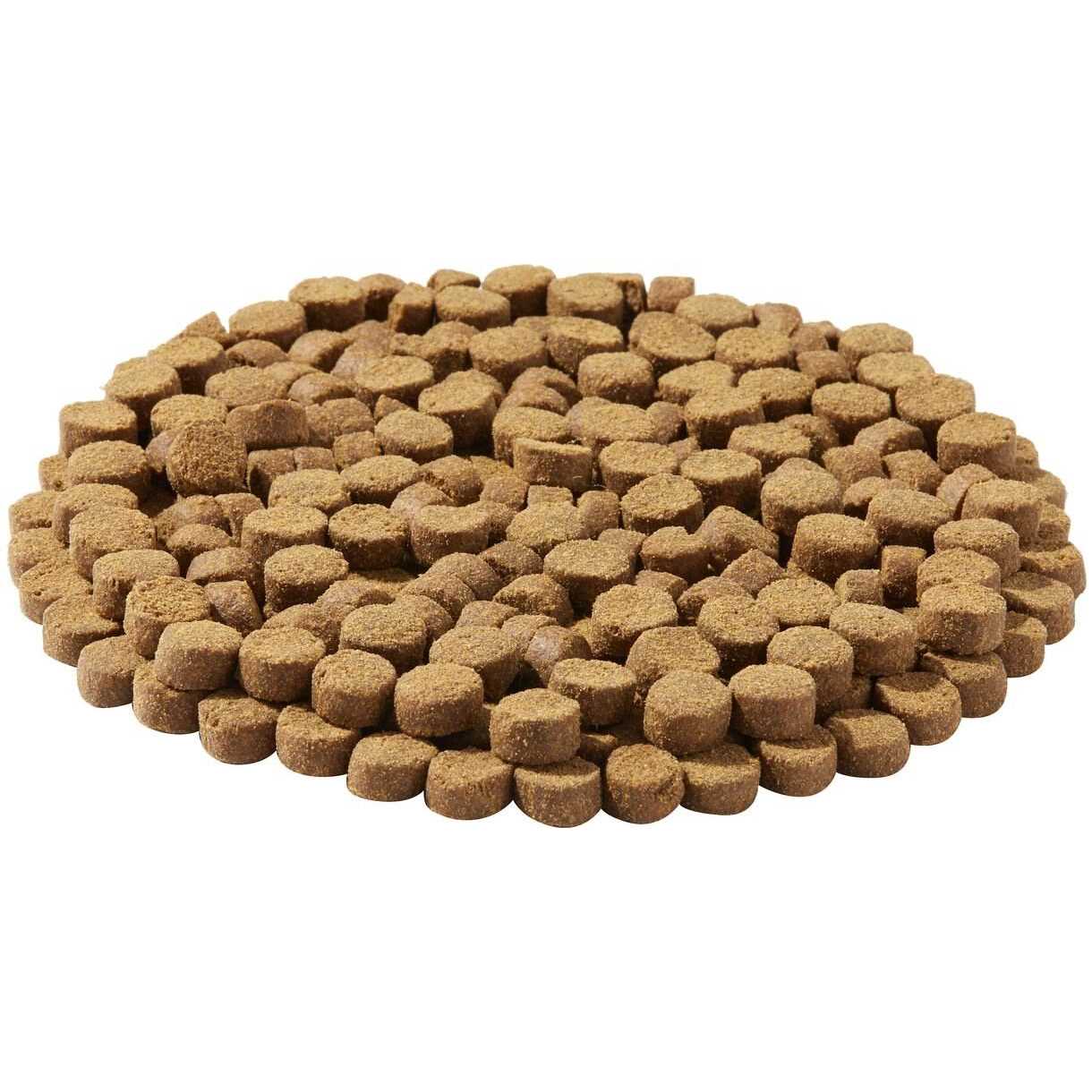 Kasiks Wild Pacific Ocean Fish Meal Formula Grain-Free Dry Dog Food - Pet Supplies online store