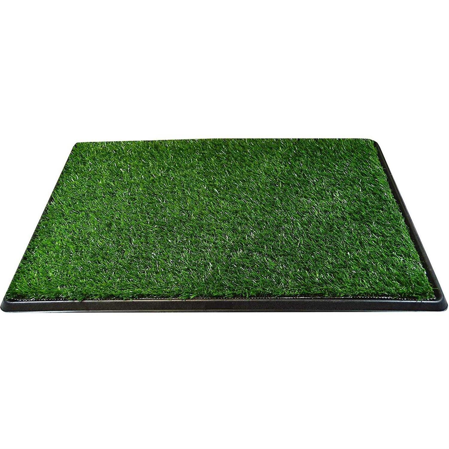 Downtown Pet Supply Dog Grass Pad with Tray, 20 x - Pet Supplies online store