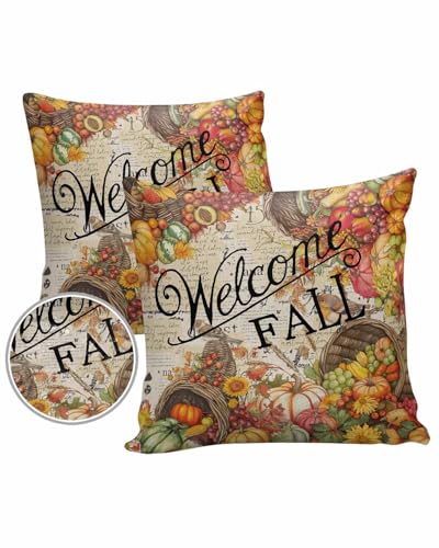 Outdoor Pillow Covers Waterproof, Hello Fall Throw Pillowcase Decorative Cover, Vintage Pumpkin Fruit Harvest Wooden Garden Cushion Case Set of 2 for Sofa, Couch, Tent, Patio, 16