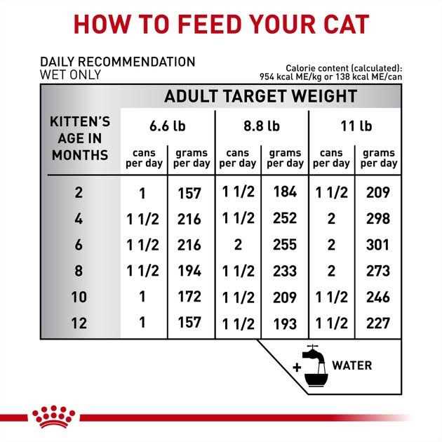 Royal Canin Veterinary Diet Gastrointestinal Kitten Ultra Soft Mousse in Sauce Canned Cat Food - Pet Supplies online store