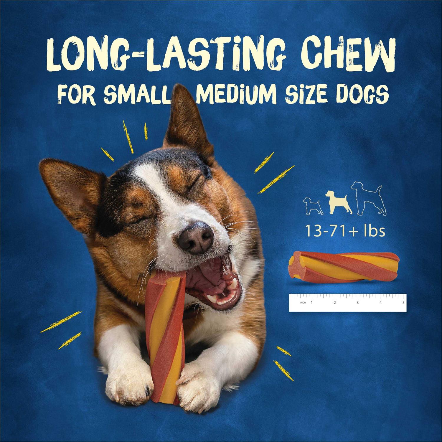 Purina Busy with Beggin' Twist'd Small/Medium Dog Treats - Pet Supplies online store