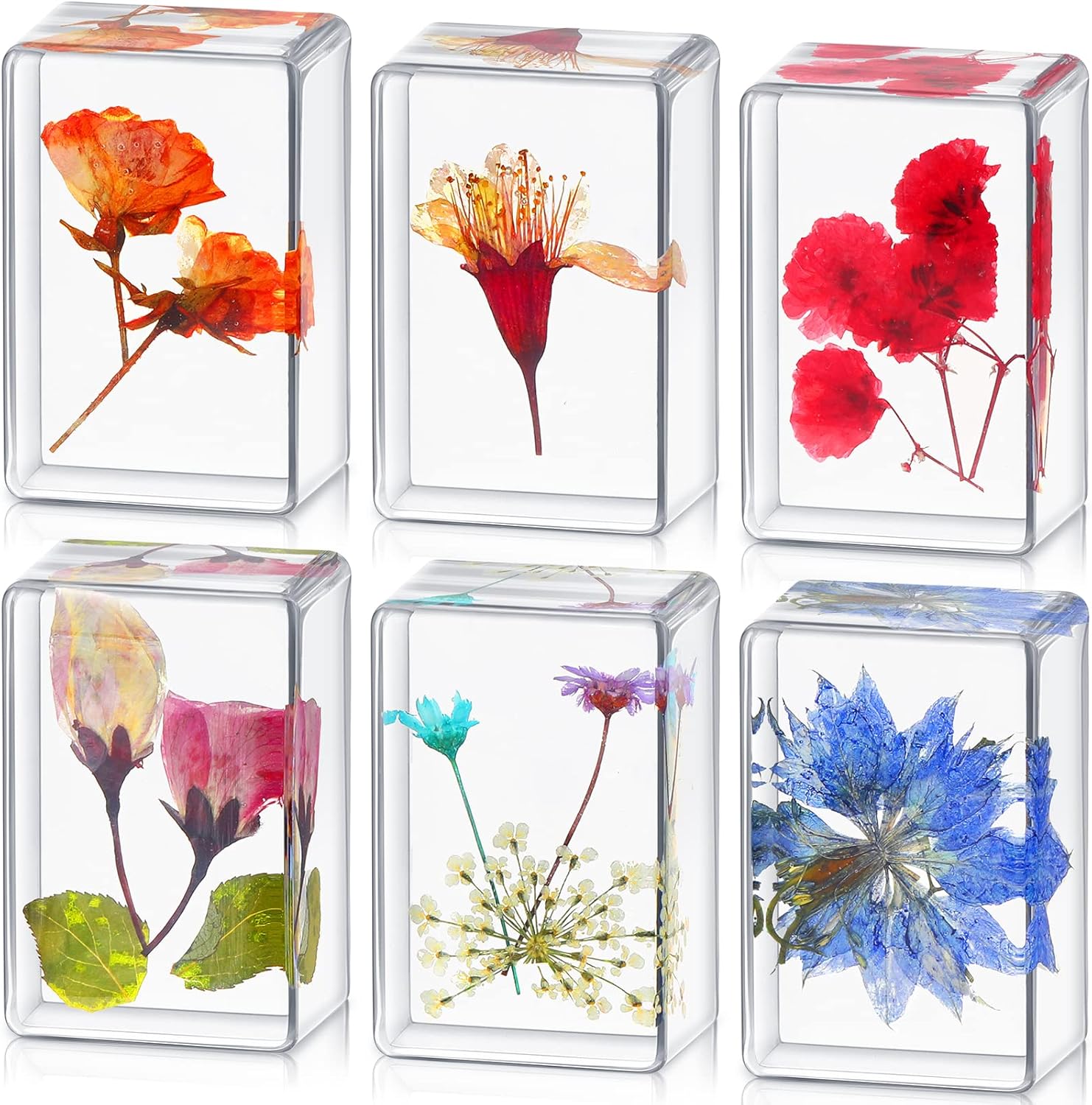 6 Pieces Pressed Flower Paperweight Flower in Resin Specimen Collection for Desk Real Flowers Samples Paper Weights Square Paperweight Cube for Kids Scientific Educational Toy, Office Table Decor