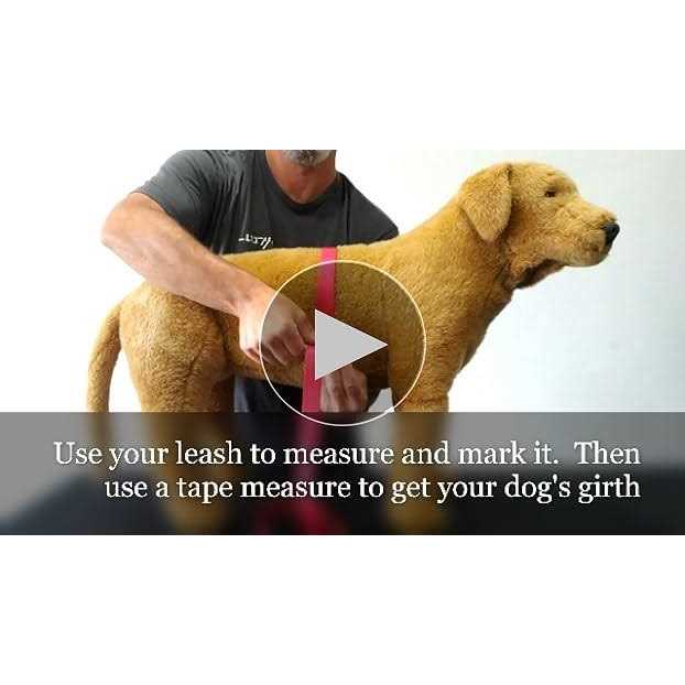 Doggie Stylz Dog Vest Harness Comes with 2 Reflective Removable Patches Please Measure Dog - Pet Supplies online store