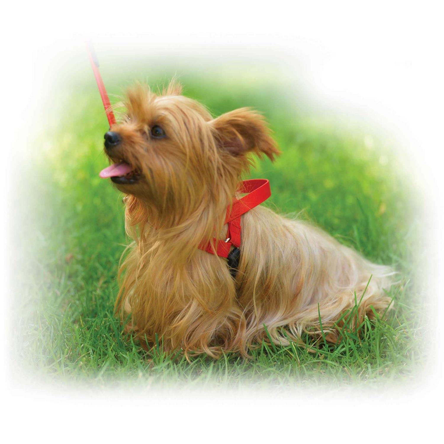 Ultrahund Freedom Harness - Pet Supplies online store